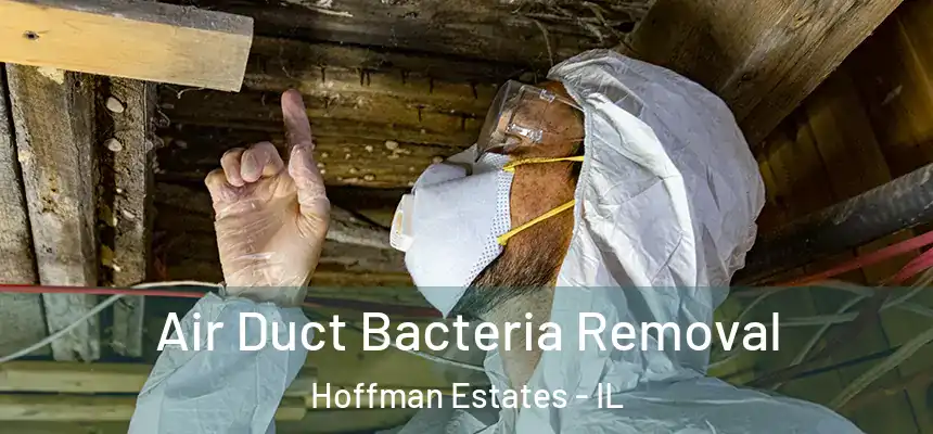  Air Duct Bacteria Removal Hoffman Estates - IL