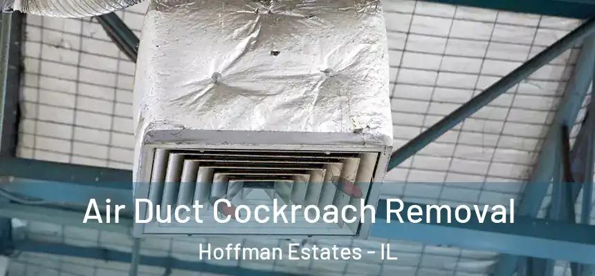  Air Duct Cockroach Removal Hoffman Estates - IL