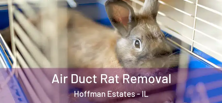  Air Duct Rat Removal Hoffman Estates - IL