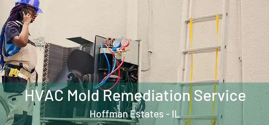 HVAC Mold Remediation Service Hoffman Estates - IL