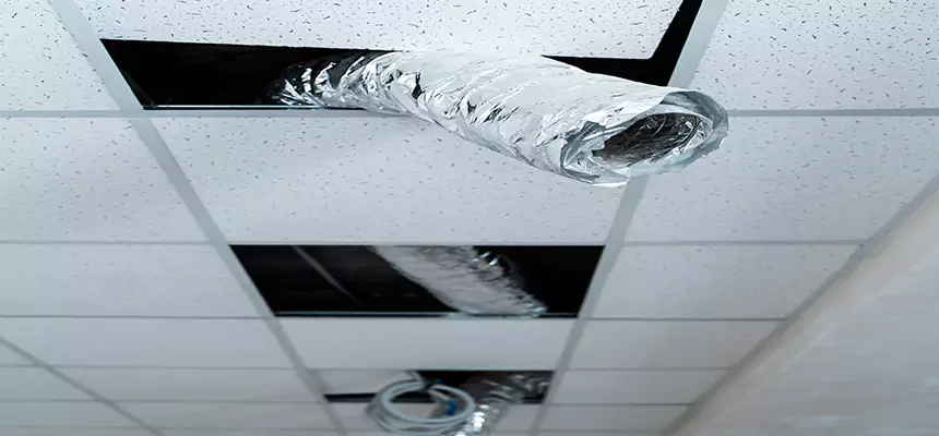 Our Air Duct Pet Hair Removal Services in Hoffman Estates, IL