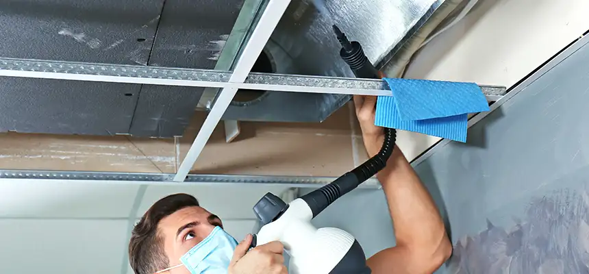 Our Air Duct Rodent Removal Services in Hoffman Estates, IL