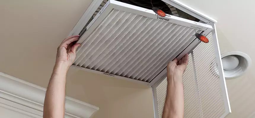 Our Insect Removal from Air Ducts Services in Hoffman Estates, IL
