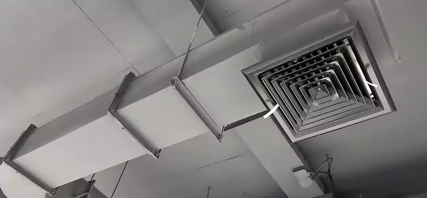 Our Pest Removal From Ducts Services in Hoffman Estates, IL