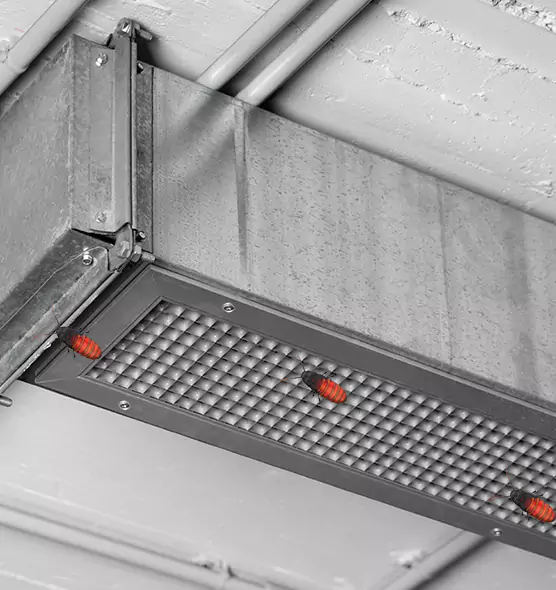 Affordable Insect Removal from Air Ducts in Hoffman Estates, IL