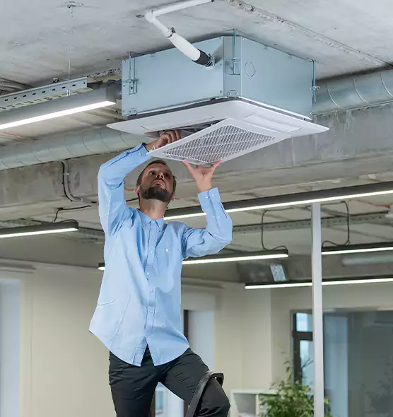 Advanced Rodent Droppings In Vents in Hoffman Estates, IL